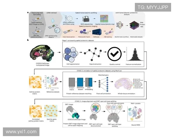 西甲赛程2360391Z空间赛事数据解读